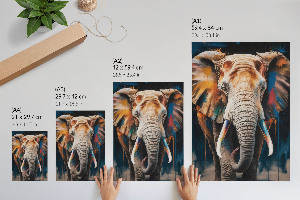 Wydruk na płótnie Słoń w barwach