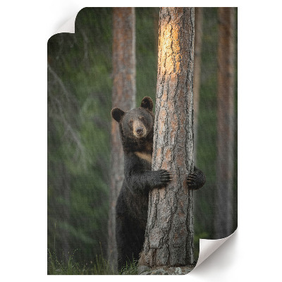 Plakat premium Natura piękno