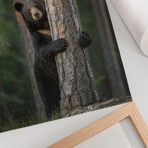 Plakat premium Natura piękno