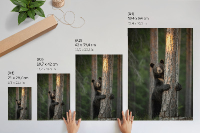 Plakat premium Natura piękno