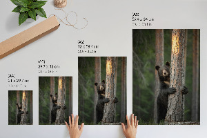 Plakat premium Natura piękno