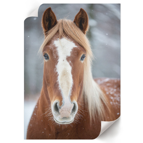 Wydruk na płótnie Koń zimą