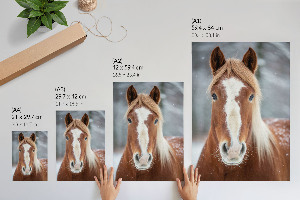 Wydruk na płótnie Koń zimą