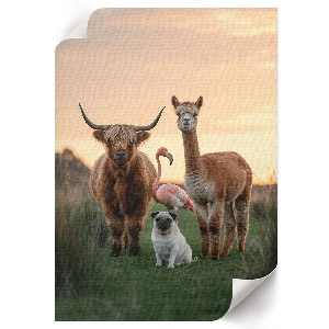 Grafika na ścianę Zwierzęta razem