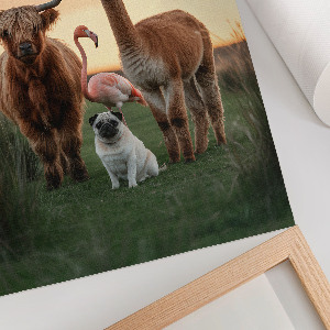 Grafika na ścianę Zwierzęta razem