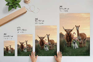 Grafika na ścianę Zwierzęta razem