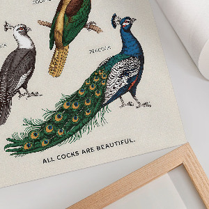 Wydruk na płótnie Kolorowe ptaki