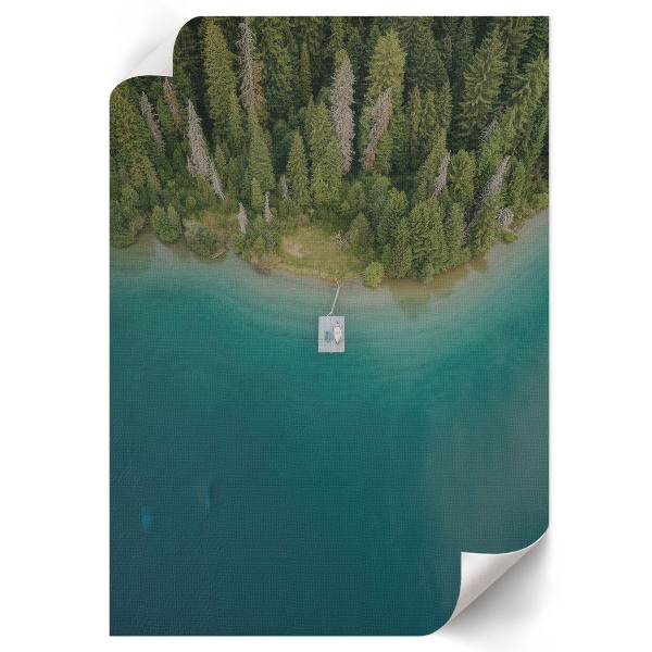 Wydruk na płótnie Leśny raj