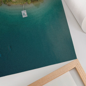 Wydruk na płótnie Leśny raj