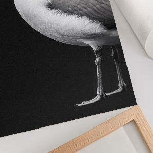 Dekoracyjny plakat ścienny Ptak portret