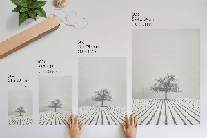 Grafika na ścianę Zimowy krajobraz