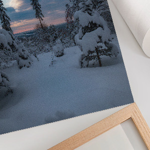 Wydruk na płótnie Zimowy pejzaż