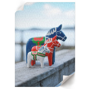 Plakat premium Kolorowe koniki