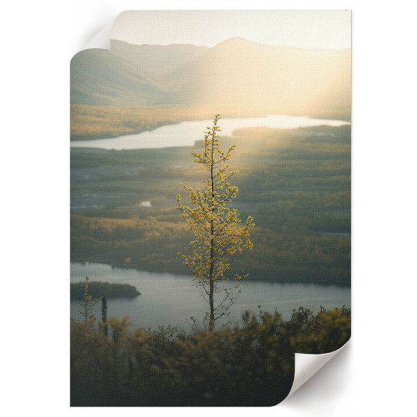 Wydruk na płótnie Pejzaż natury