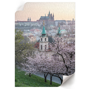 Dekoracyjny plakat ścienny Wiosenne miasto