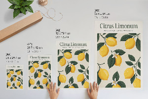 Grafika na ścianę Citrus Limonum