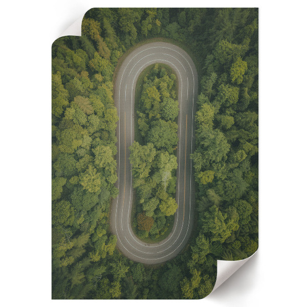 Dekoracyjny plakat ścienny Leśna przygoda