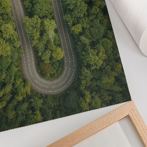 Dekoracyjny plakat ścienny Leśna przygoda