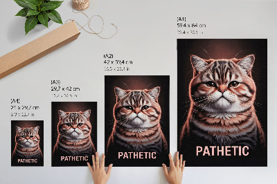 Grafika na ścianę Pathetic - kot