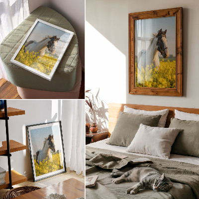 Plakat premium Koń w polu