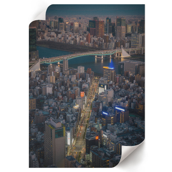 Wydruk na płótnie Miejska elegancja