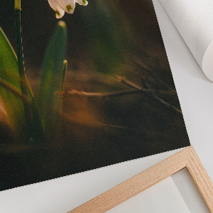 Dekoracyjny plakat ścienny Przebiśnieg wiosenny