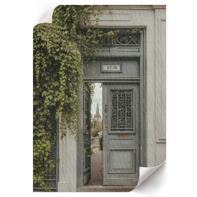 Plakat premium Zielone drzwi