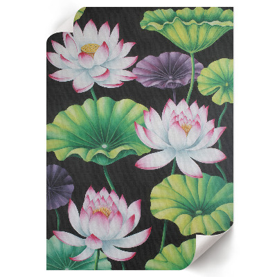 Plakat premium Kwiaty lotosu