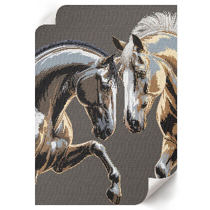 Wydruk na płótnie Dwa konie