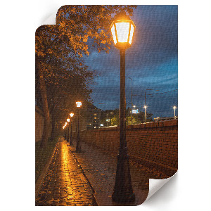 Dekoracyjny plakat ścienny Wieczorna alejka