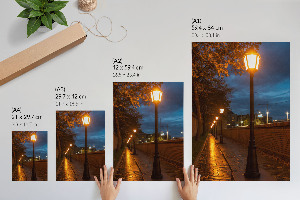 Dekoracyjny plakat ścienny Wieczorna alejka