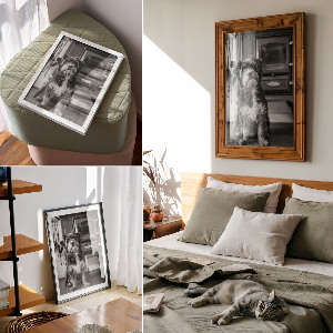 Wydruk na płótnie Pies retro