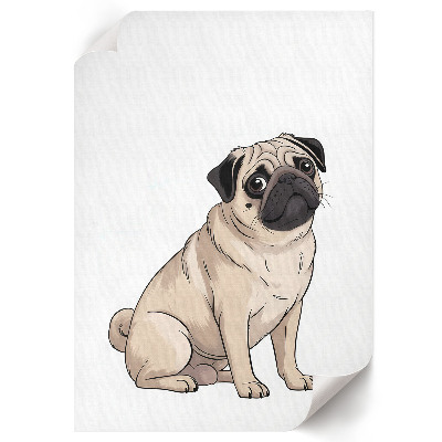 Plakat premium Pies mops