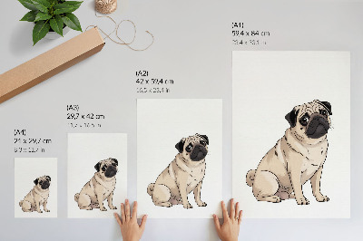 Plakat premium Pies mops