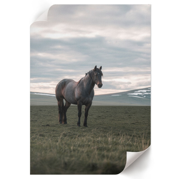 Plakat premium Poranny spokój