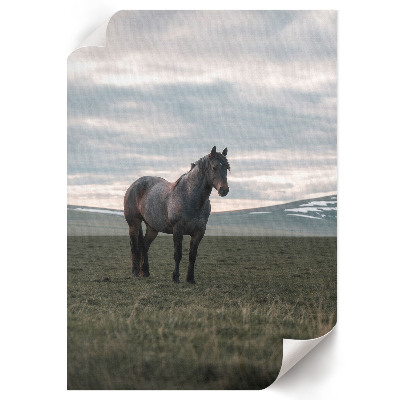 Plakat premium Poranny spokój