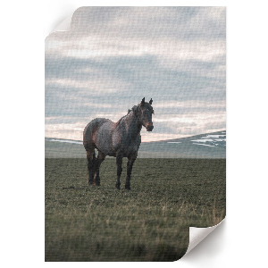 Plakat premium Poranny spokój