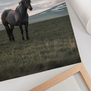 Plakat premium Poranny spokój