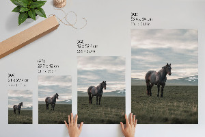 Plakat premium Poranny spokój