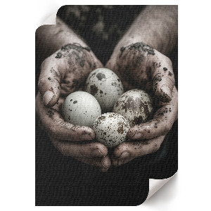 Grafika na ścianę Naturalne jajka