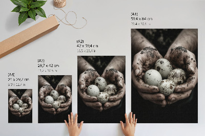 Grafika na ścianę Naturalne jajka