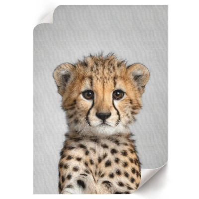 Wydruk na płótnie Młody gepard