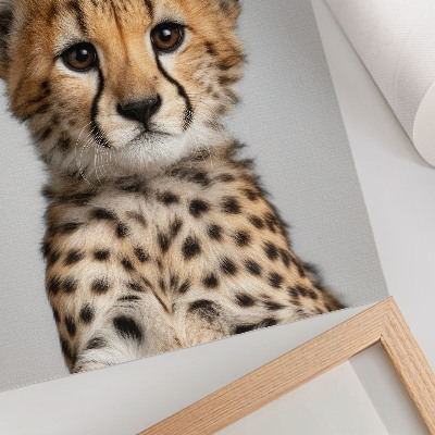 Wydruk na płótnie Młody gepard