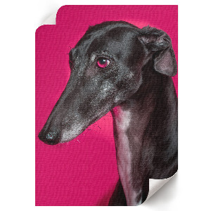 Dekoracyjny plakat ścienny Pies portret