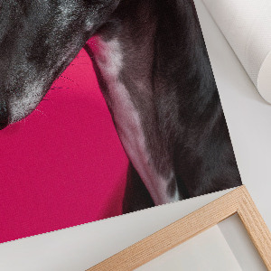 Dekoracyjny plakat ścienny Pies portret