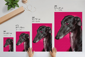 Dekoracyjny plakat ścienny Pies portret