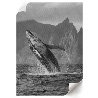 Plakat premium Skok wieloryba