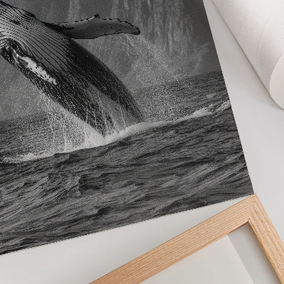 Plakat premium Skok wieloryba