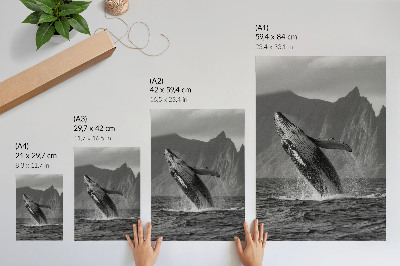 Plakat premium Skok wieloryba