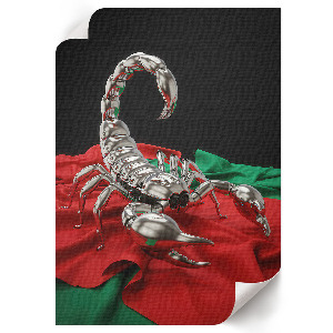 Grafika na ścianę Mechaniczny skorpion